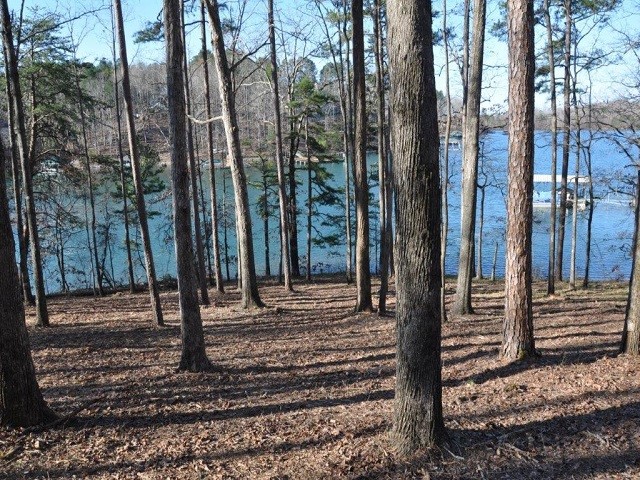 Property image 1 at 0 Sue Craig Road, Six Mile, SC 29682