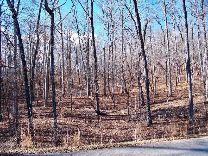 Property image 1 at 129 Julie Way, Pickens, SC 29671