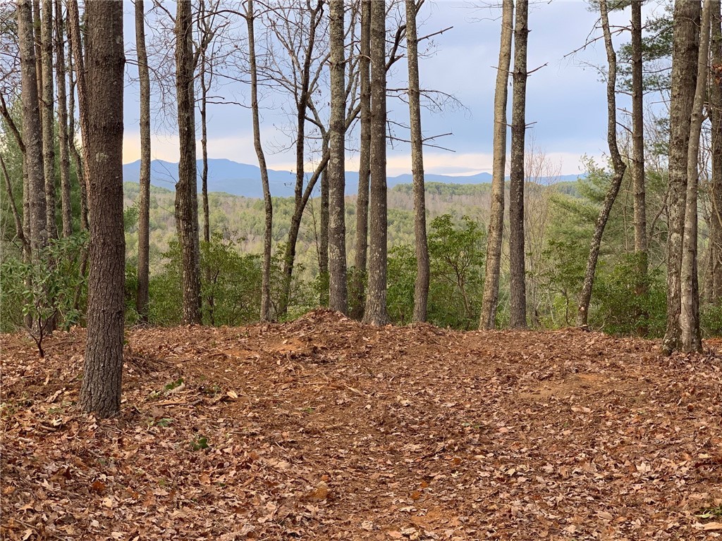 Property image 1 at E28 Mountain Breeze Lane, Salem, SC 29676