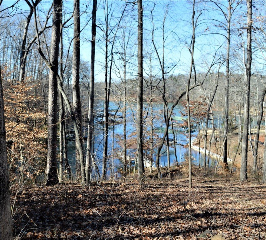 Property image 1 at 224 Long Bay Drive, West Union, SC 29696