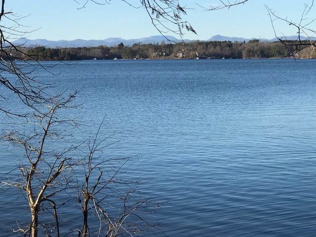 Property image 1 at Lot 16 Marina Bay, Seneca, SC 29678