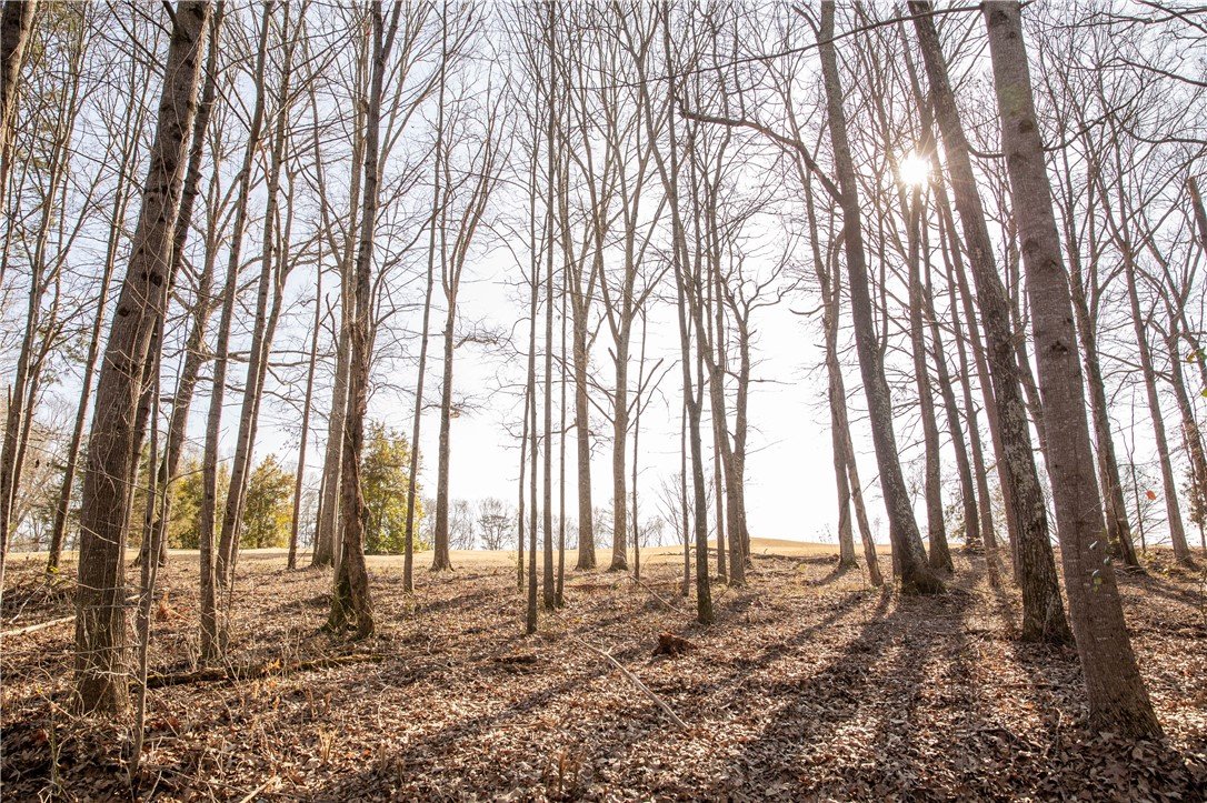 Property image 1 at 1817 Cross Creek Drive, Seneca, SC 29678