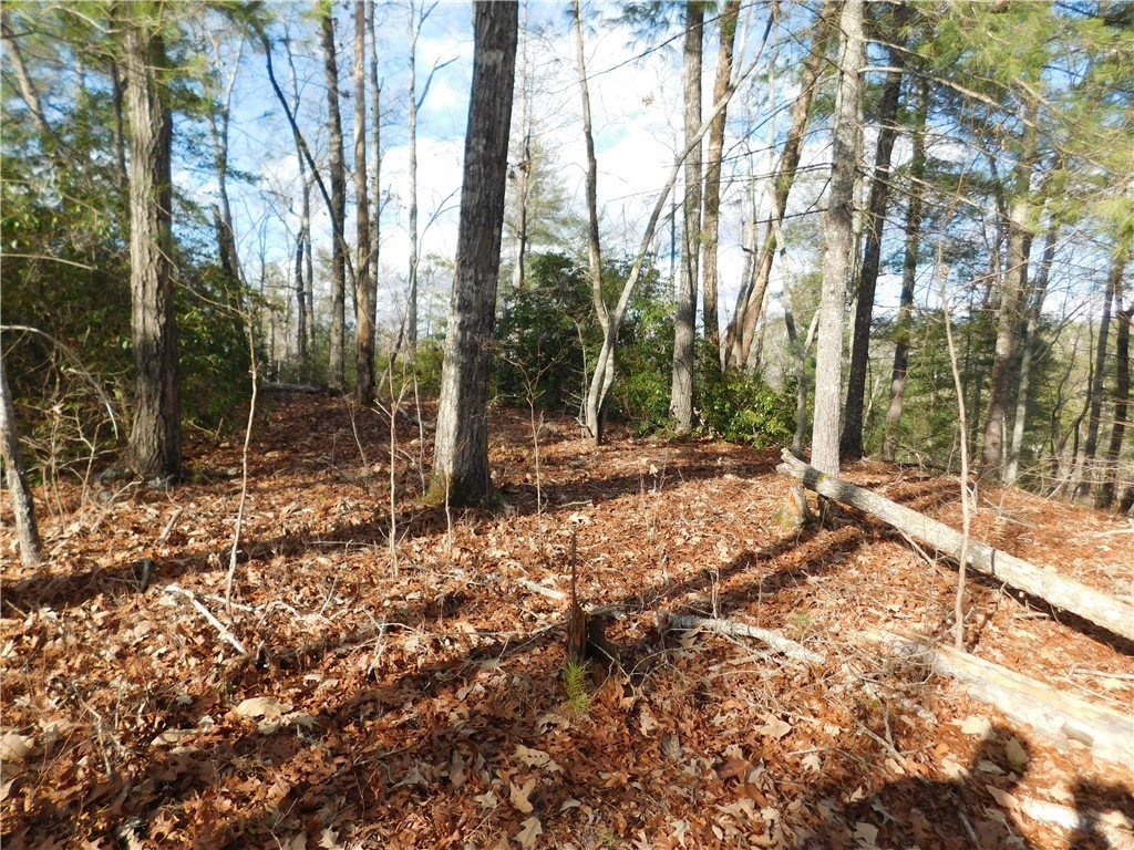 J21 Jocassee Pointe Road