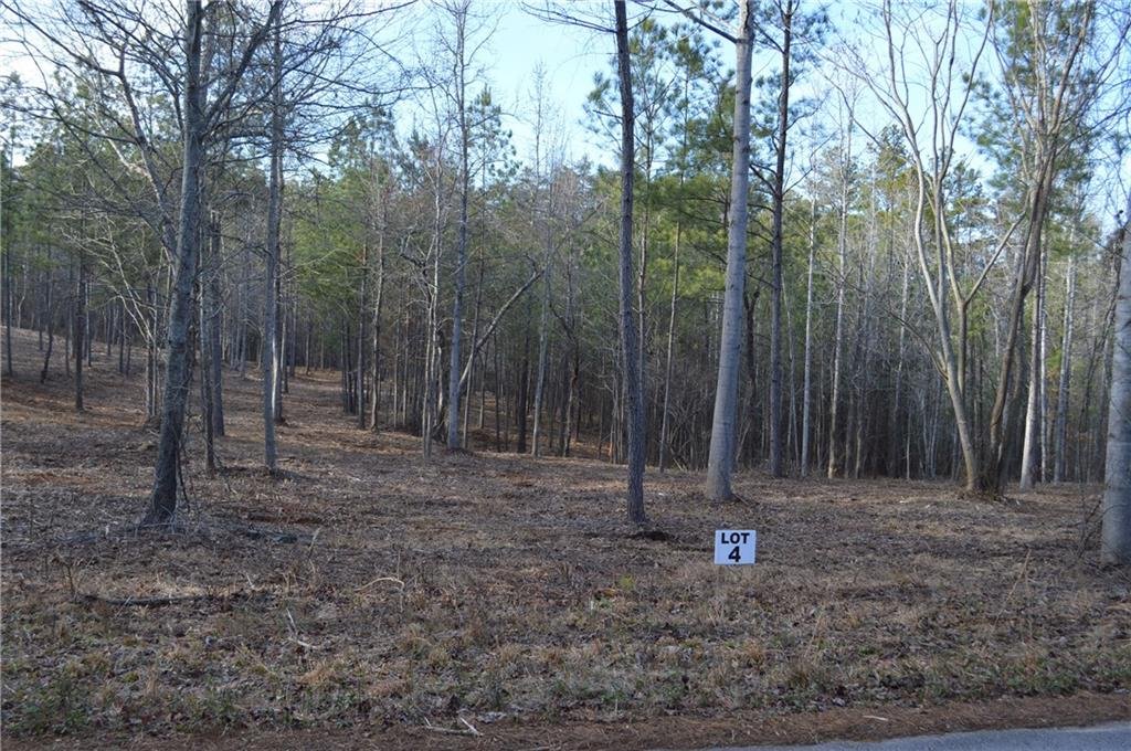 Property image 1 at Lot 4 Stokes Drive, Seneca, SC 29672