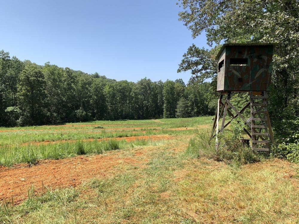 2410 Old Williamston Road