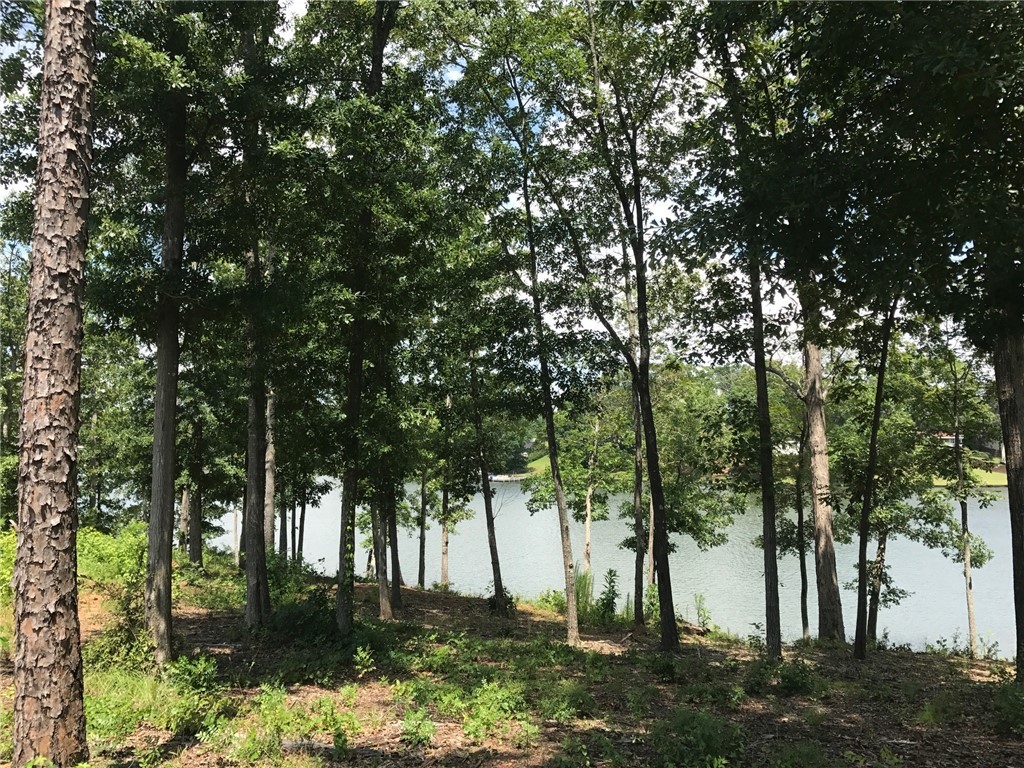 Property image 1 at 00 Waterside Point, Abbeville, SC 29620