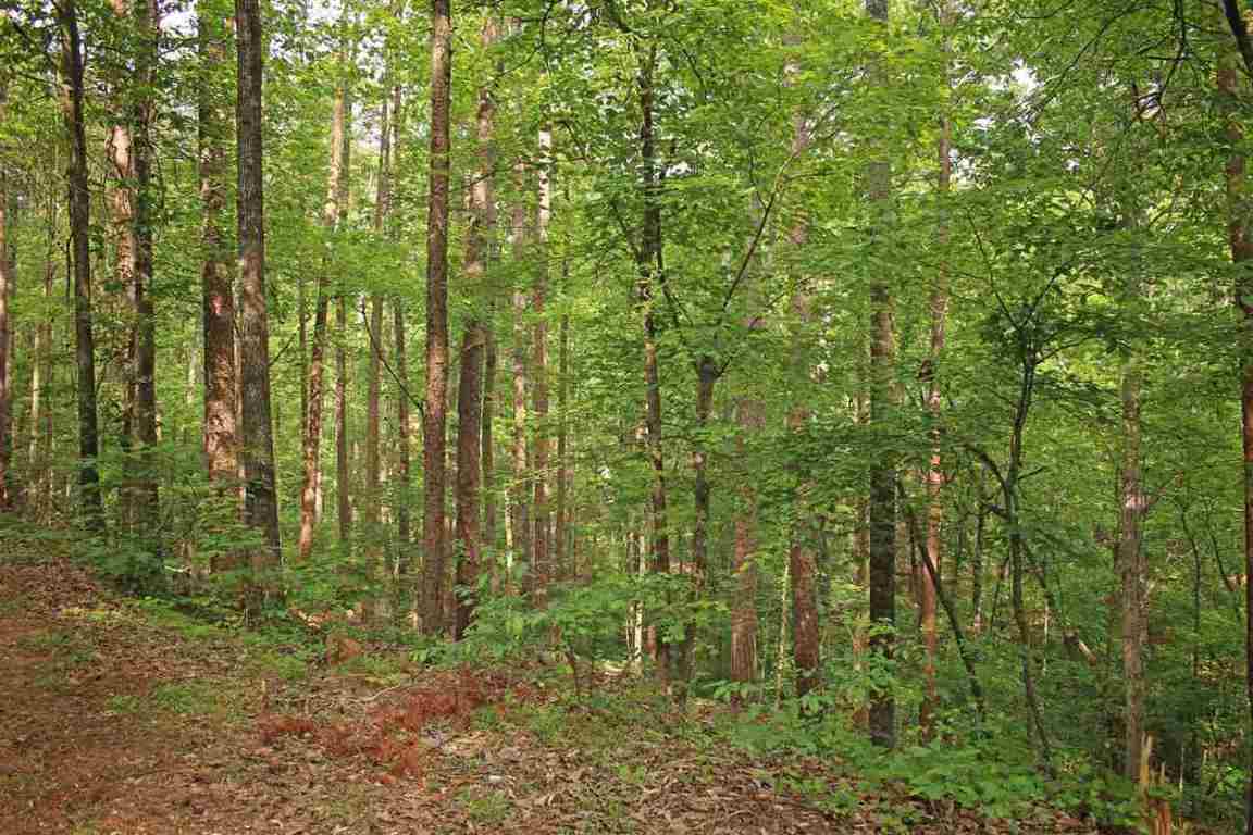 Lot 2 Cottages At Riverbirch