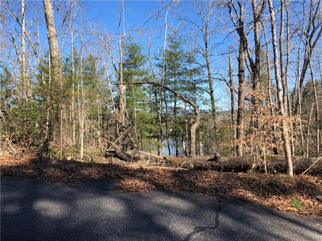 Lot 8 Lake Becky Road