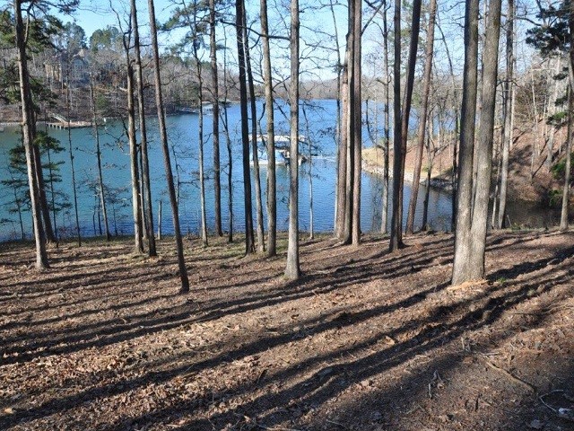 Property image 1 at 0 Sue Craig Road, Six Mile, SC 29682