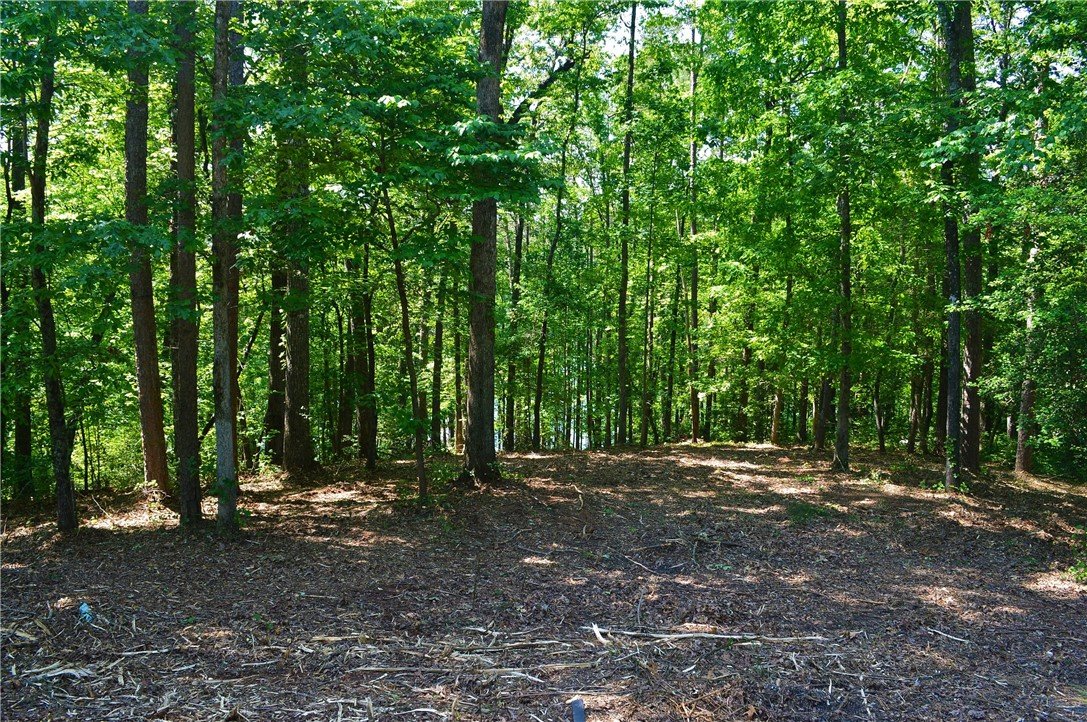 Property image 1 at 564 Riverstone Drive, Salem, SC 29676