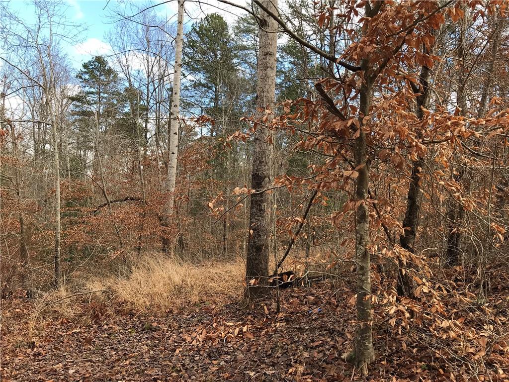 225 Crystal Falls Road