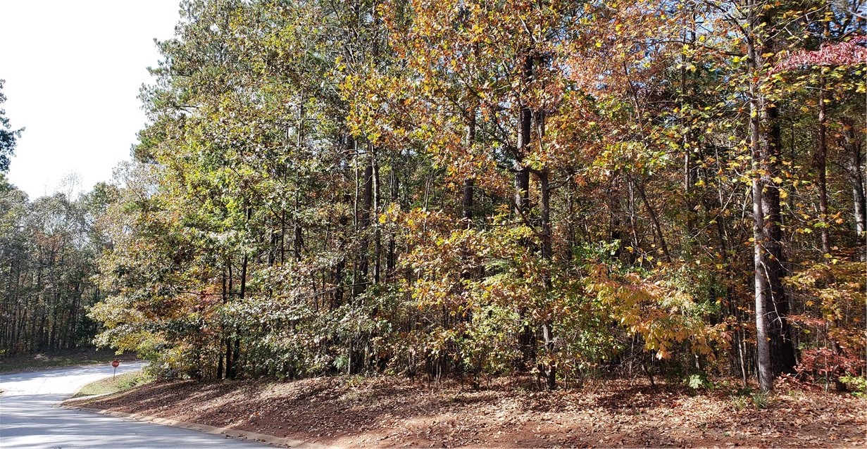 Property image 1 at Lot 147 Waterside Crossing, Seneca, SC 29672