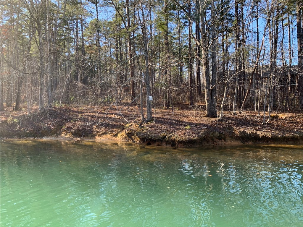 Property image 1 at Lot 45 Vista Point Drive, West Union, SC 29696