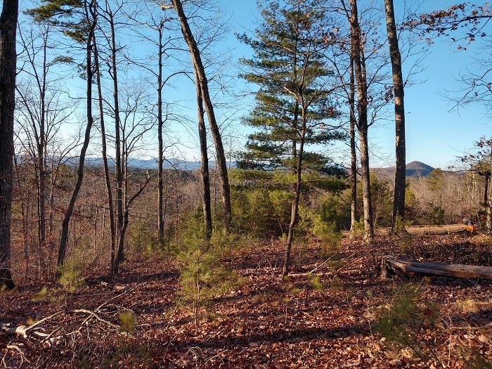 Property image 1 at 207 Sawyer Lane, Pickens, SC 29671