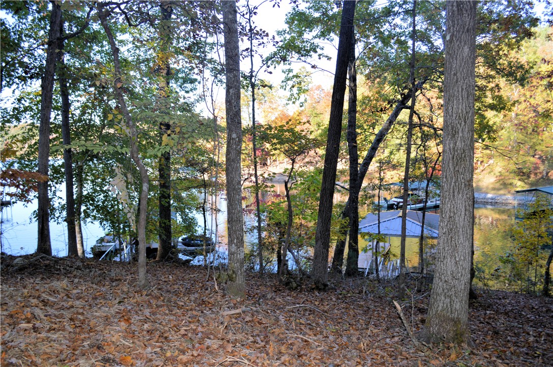 112 Cedar Bluff Court