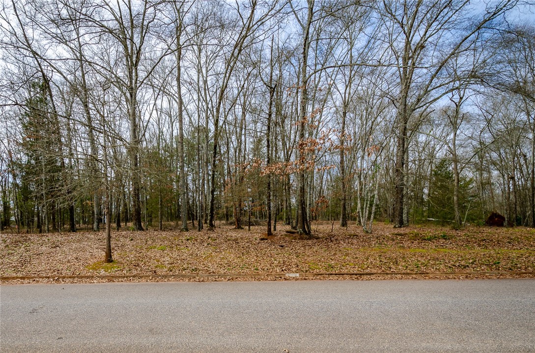 Property image 1 at 114 Creekwalk Drive, Anderson, SC 29625