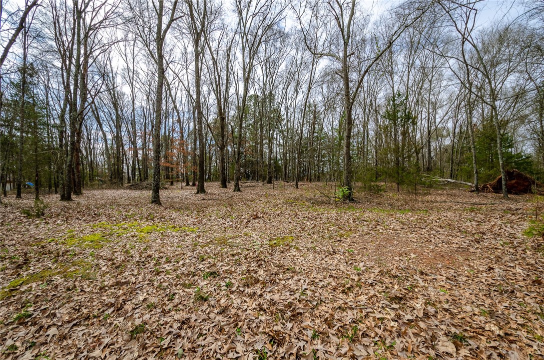 Property image 1 at 112 Creekwalk Drive, Anderson, SC 29625