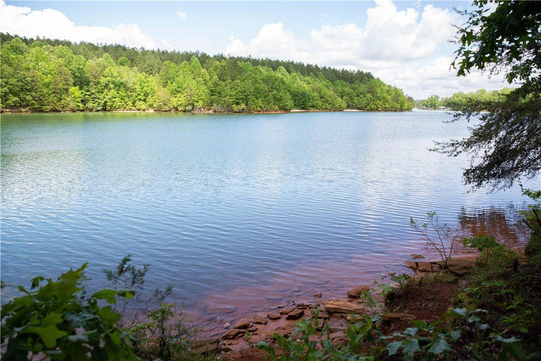 Lot 11 Spring Hollow Bark Shed Trail