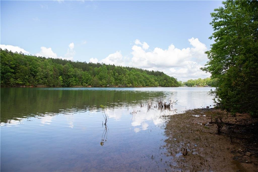 Lot 12 Spring Hollow Bark Shed Trail