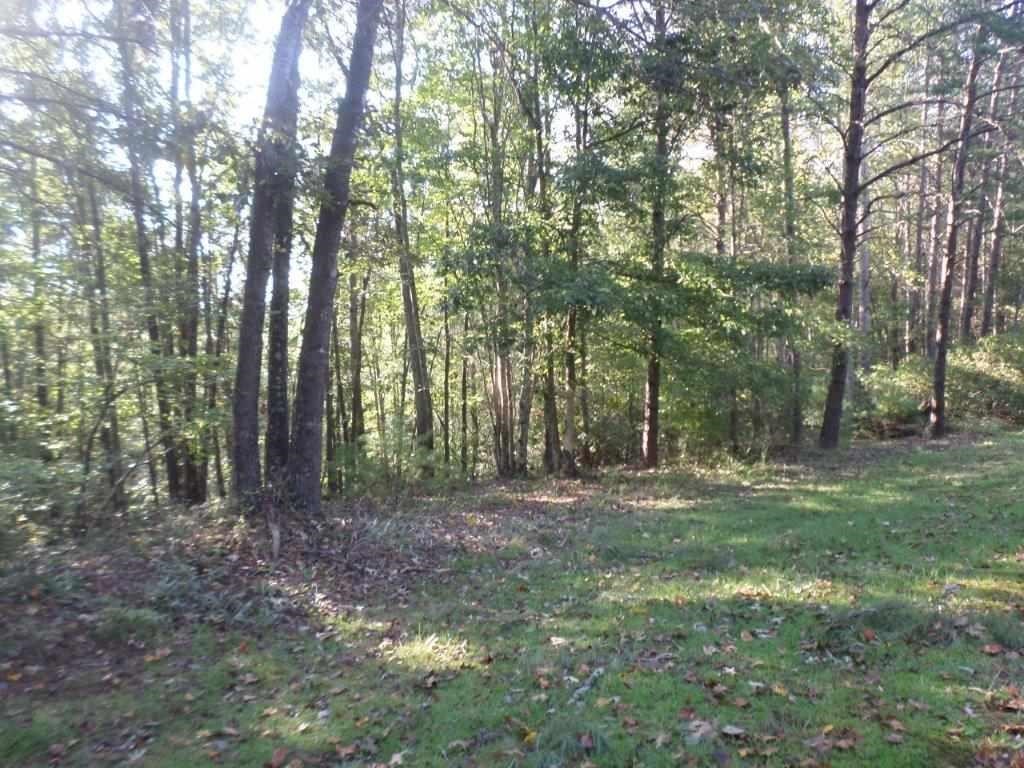 Property image 1 at 315 Ginseng Drive, Sunset, SC 29685