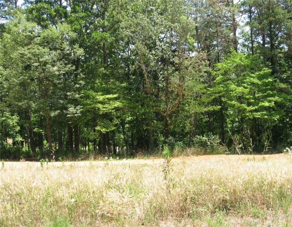 Property image 1 at Lot 194 Westlake Drive, Seneca, SC 29672