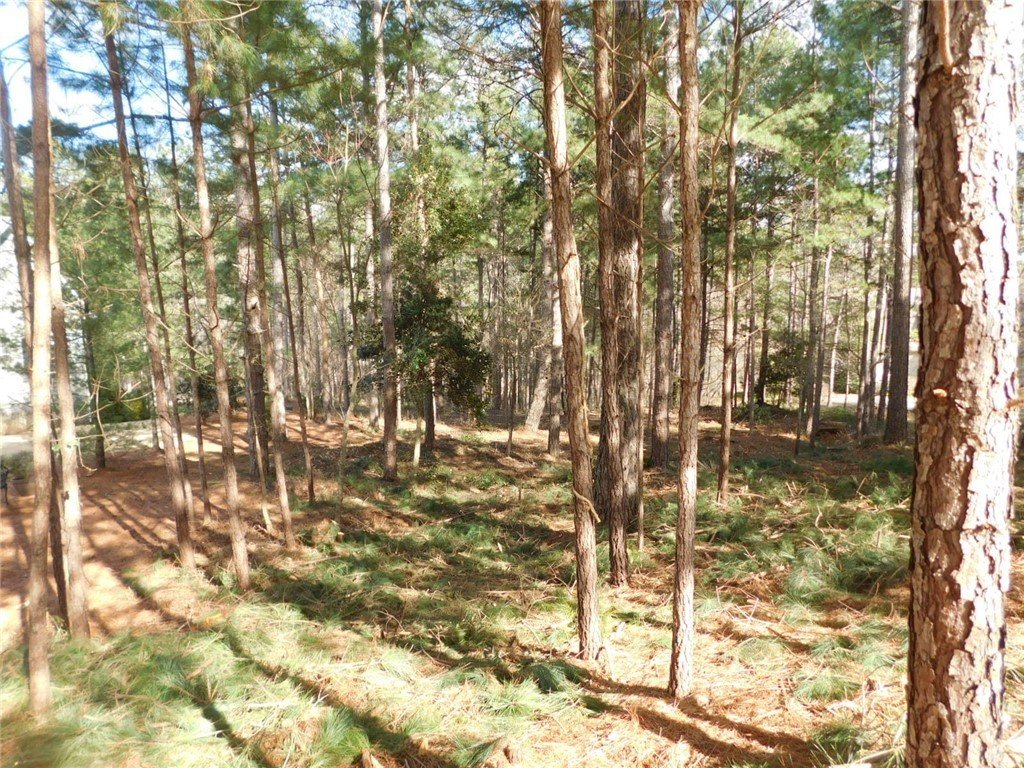 Property image 1 at 221 Rocky Springs Drive, Salem, SC 29676