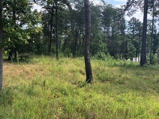 Property image 1 at 510 Natures View Way, Salem, SC 29676