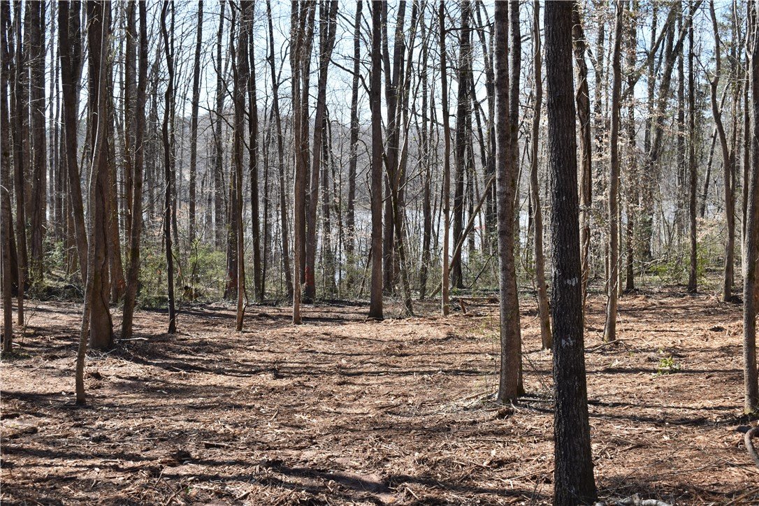 00 Blackjack Cove Road