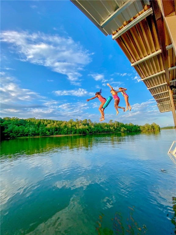 Lot 4 Tree Cat Trail