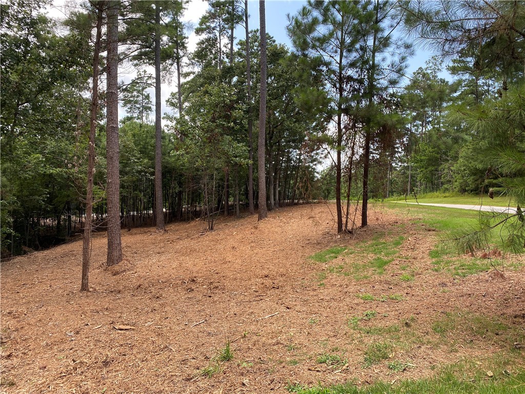 000 Great Oak Wy/ Lot 48 Waterford Ridge