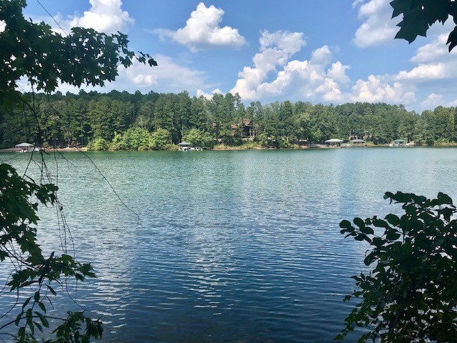 Property image 1 at 559 Riverstone Drive, Salem, SC 29676