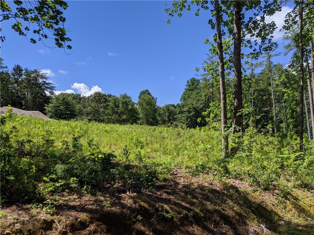 Property image 1 at 1 Beacon Ridge Circle, Salem, SC 29676