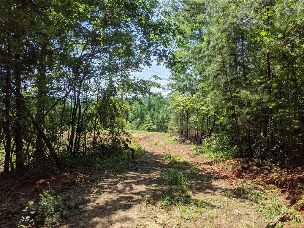 Lot 4 Waterford Farms Road