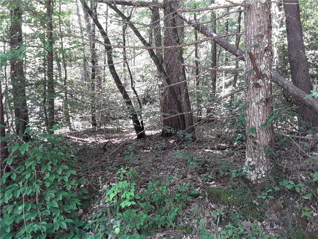 Property image 1 at 121 Willys Creek Circle, Pickens, SC 29671