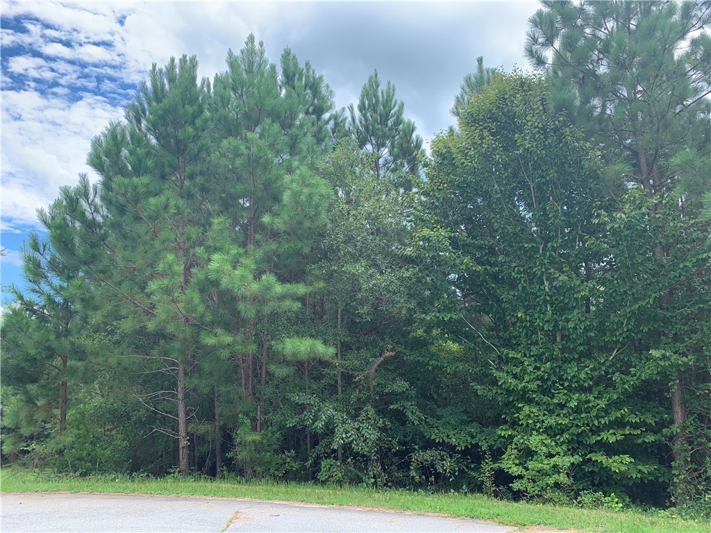 Property image 1 at 00 Pine Ridge Road, Seneca, SC 29672