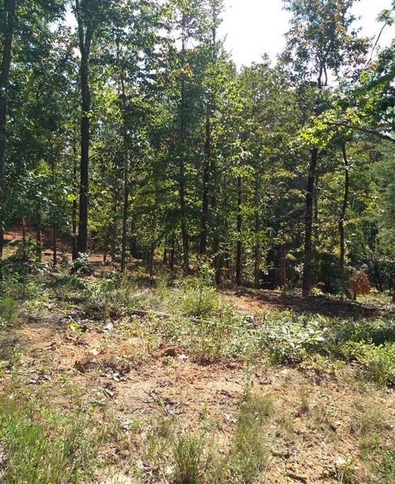 Property image 1 at 6003 Mt Vernon Drive, Seneca, SC 29672