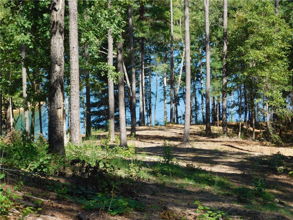 Property image 1 at Lot 10 Old Chapman Bridge Road, Salem, SC 29676