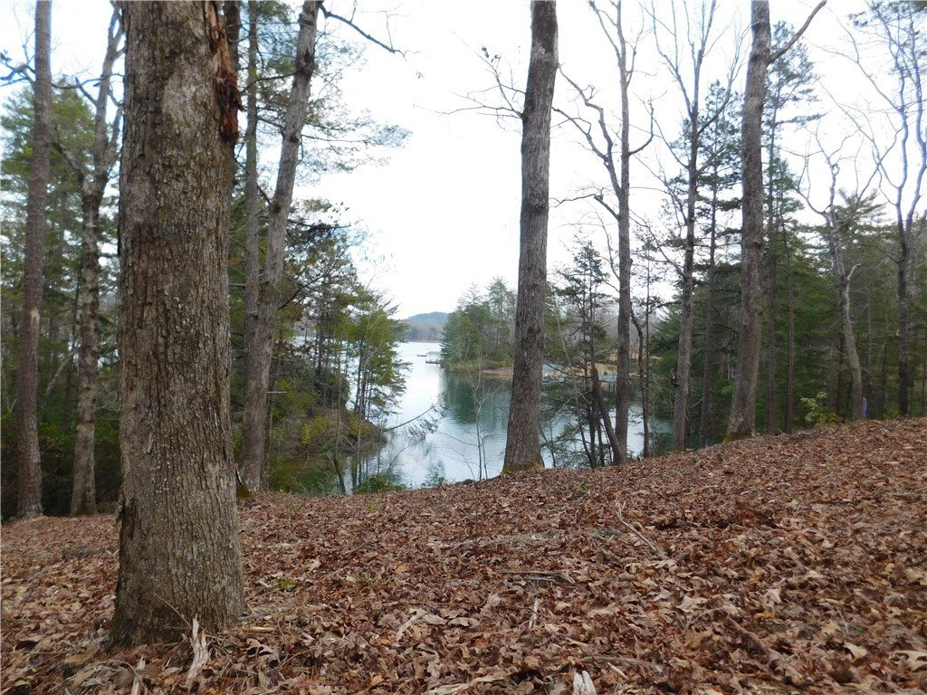 Property image 1 at Lot 12 Old Chapman Bridge Road, Salem, SC 29676