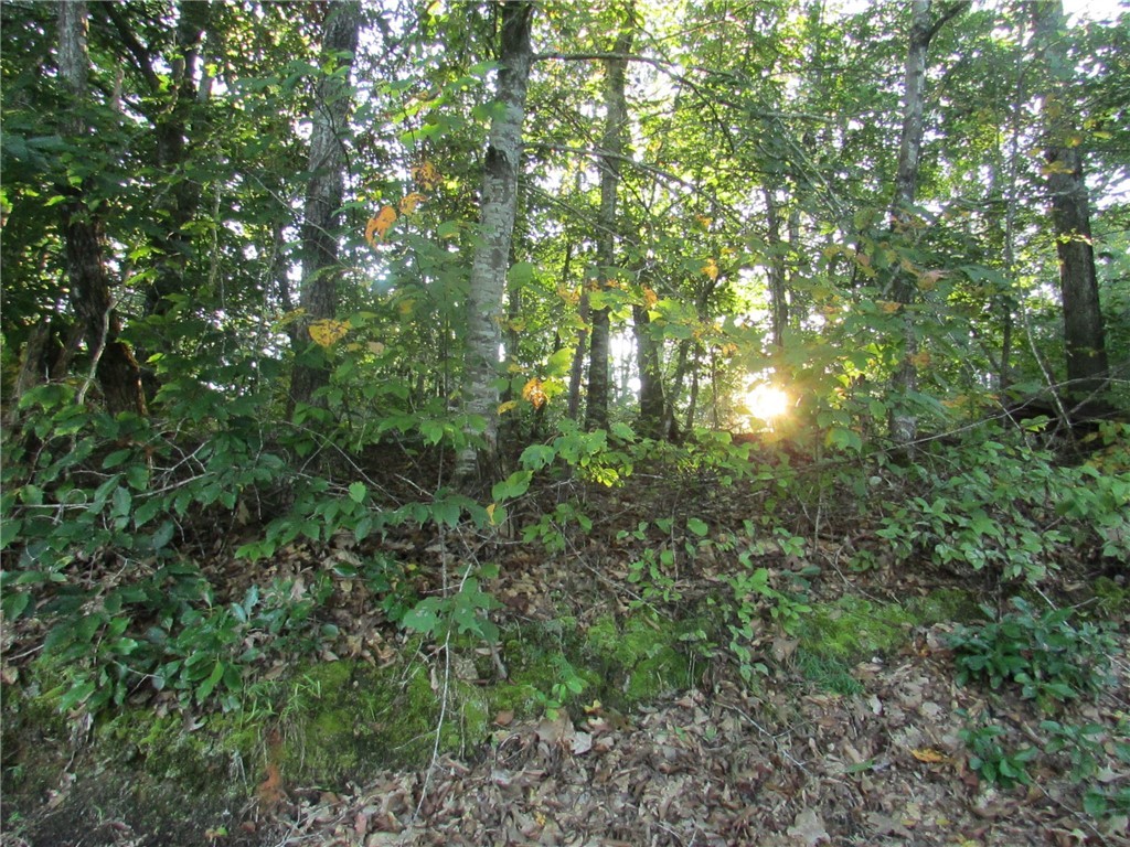 Property image 1 at 00 Sixteenth Circle, Walhalla, SC 29691