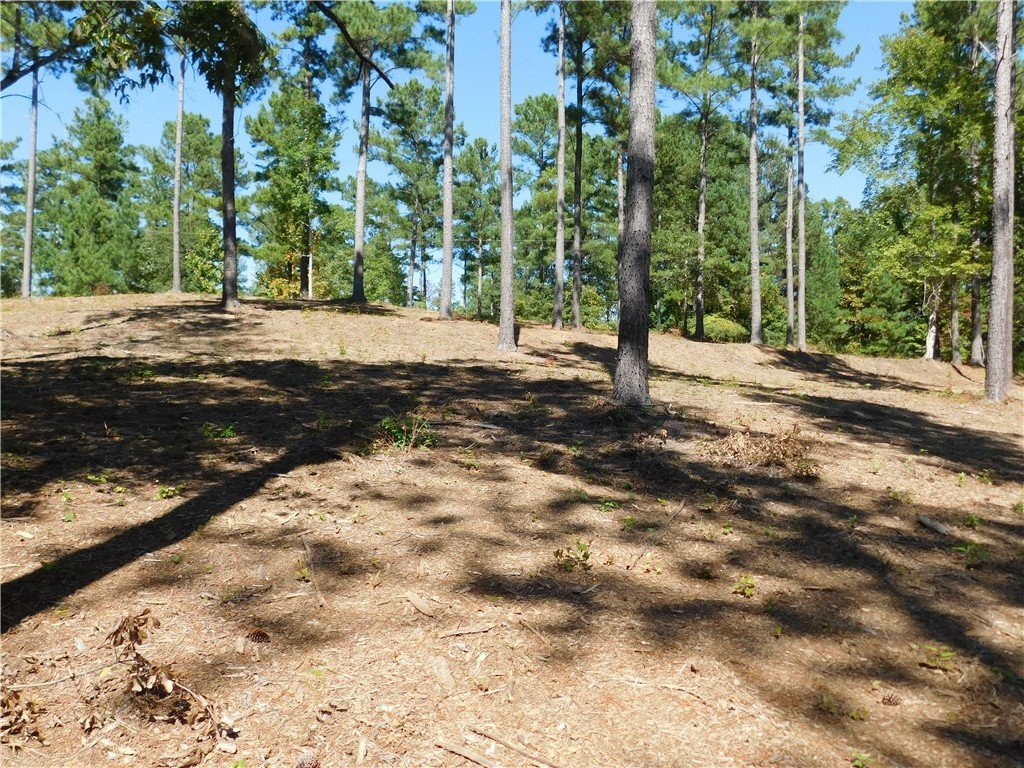 Property image 1 at Lot 20 Old Chapman Bridge Road, Salem, SC 29676
