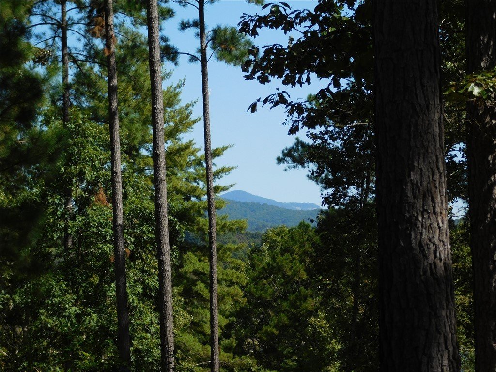 Property image 1 at Lot 6 Old Chapman Bridge Road, Salem, SC 29676