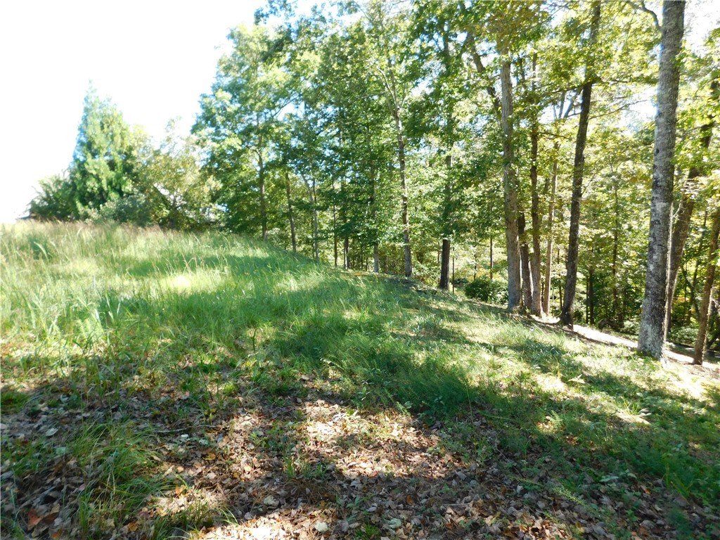 Property image 1 at 625 River Birch Way, Salem, SC 29676