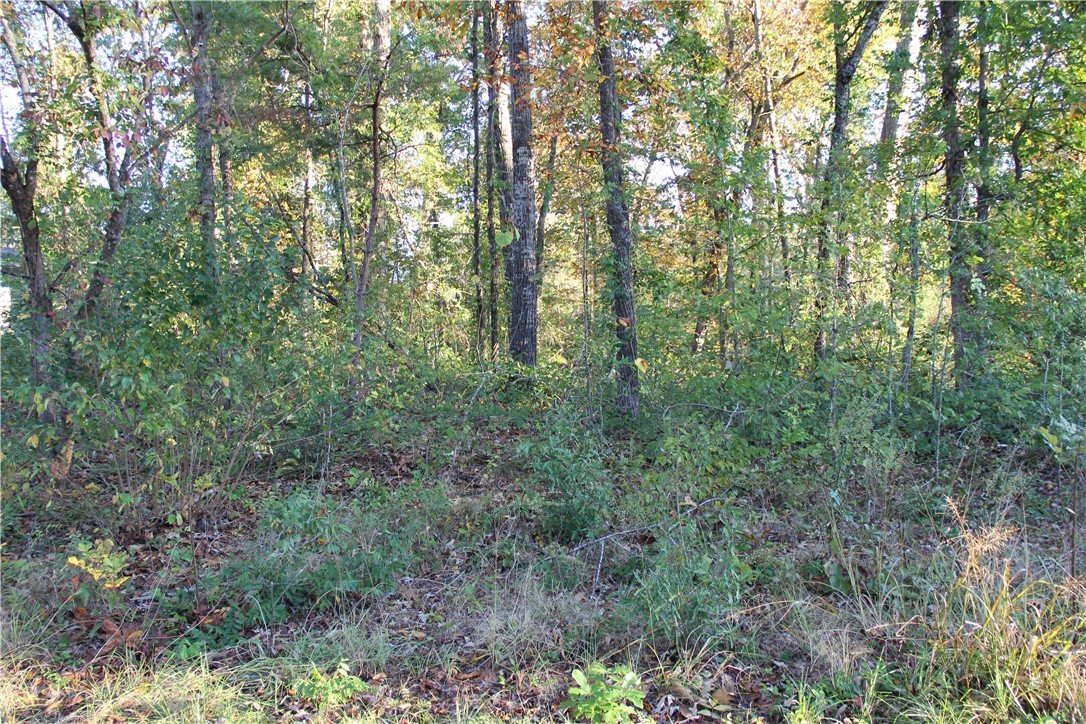 Property image 1 at Lot 24 Forest Drive, Seneca, SC 29672