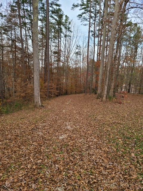 790 Hidden Falls Drive