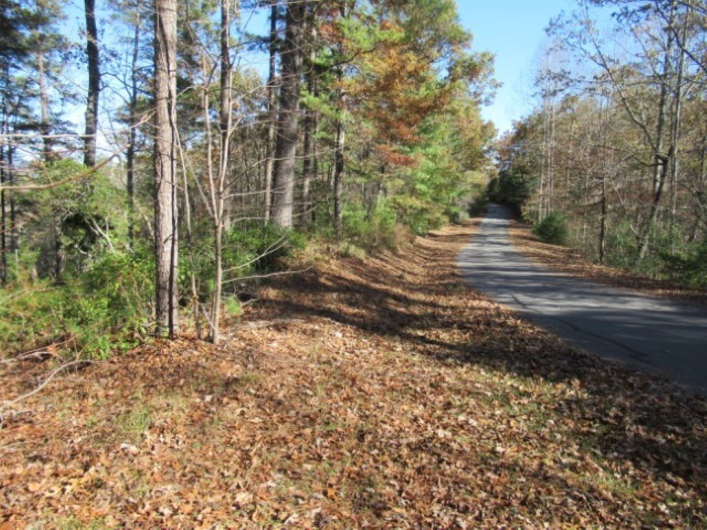 Property image 1 at 260 Eastatoe Parkway, Sunset, SC 29685