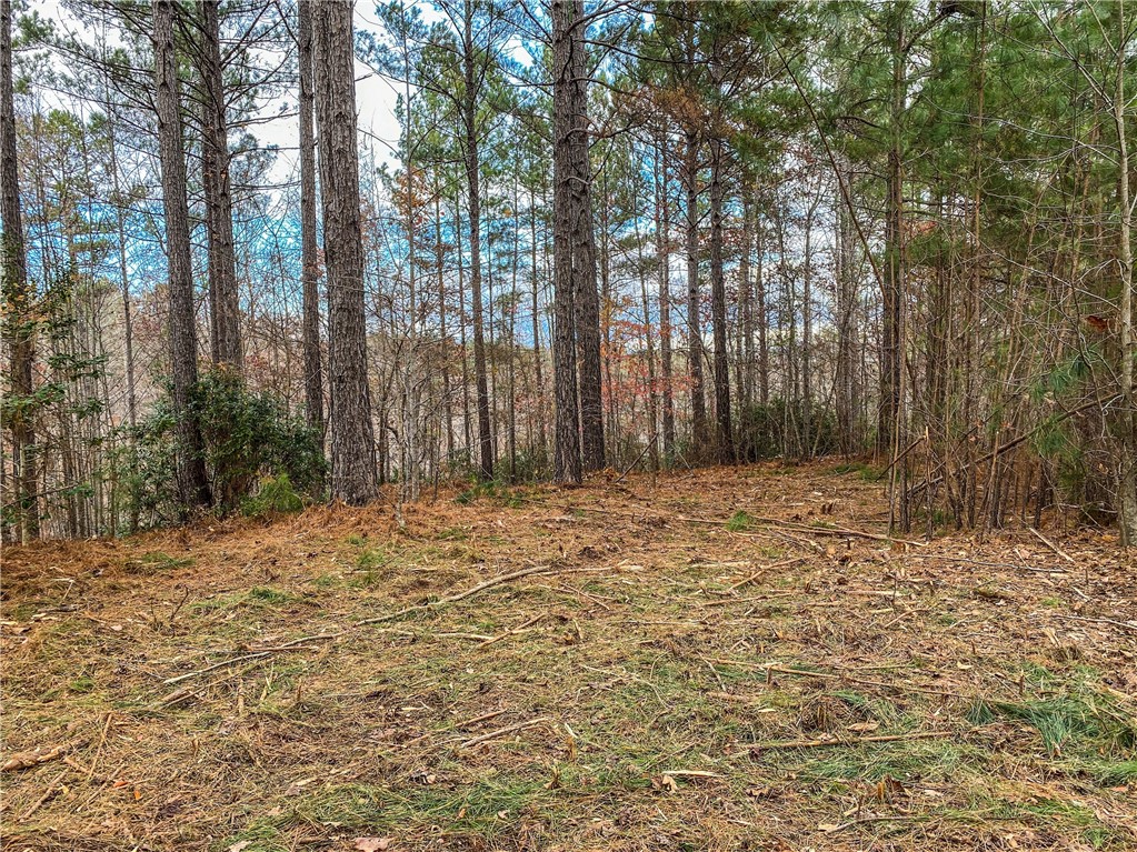 Property image 1 at 328 Knollwood Drive, Salem, SC 29676