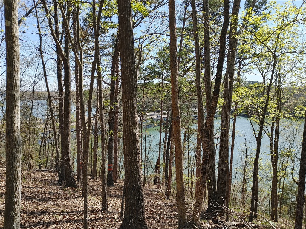 Lot 3 Charter Oaks Drive