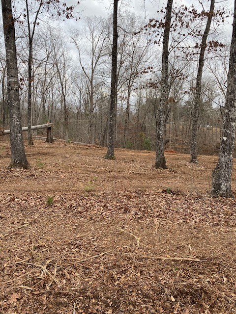 Property image 1 at 66 Falling Waters Drive, Seneca, SC 29672