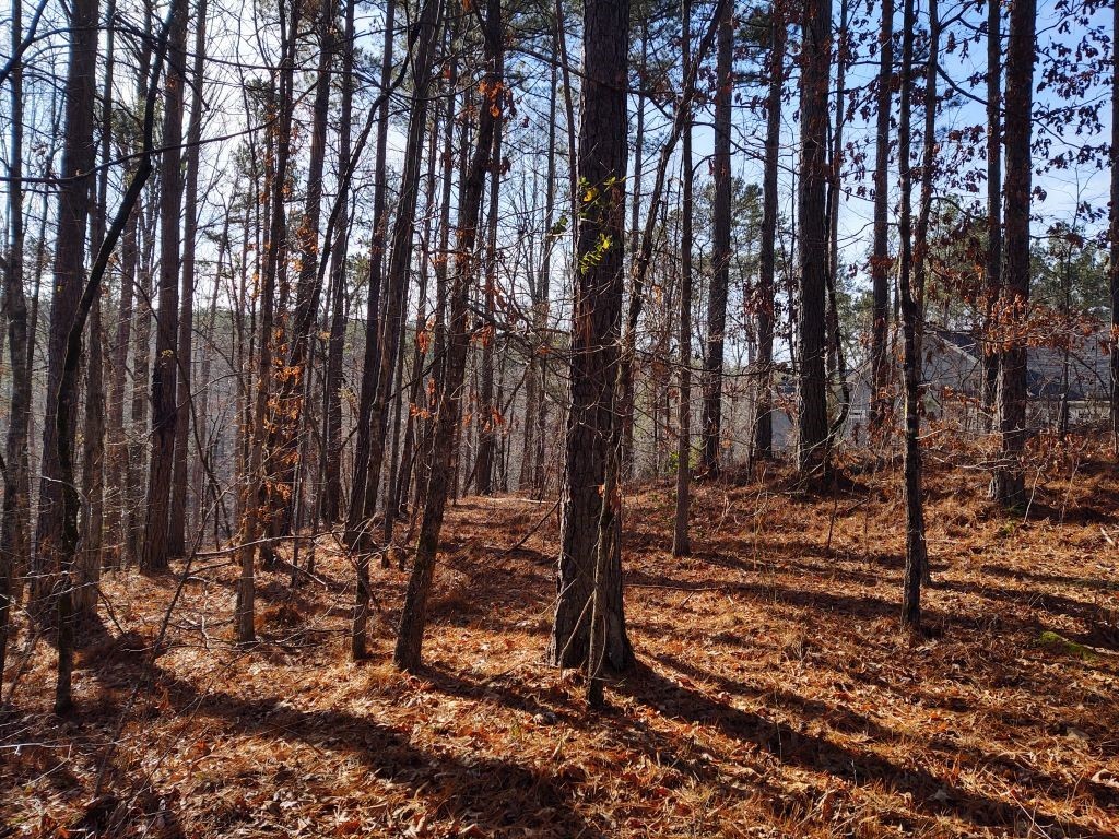 Property image 1 at Lot 127 Longwood Drive, Seneca, SC 29672
