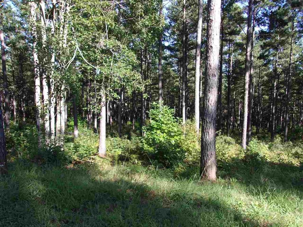 Property image 1 at 00 High Pines Drive, Salem, SC 29676